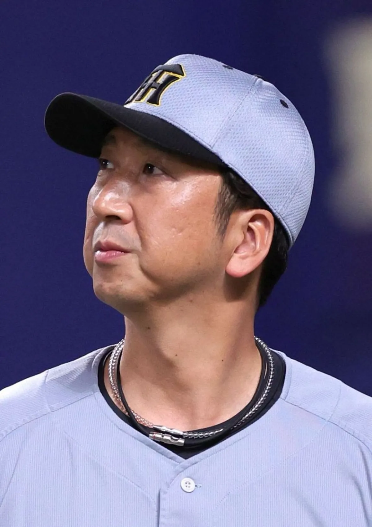 【悲報】阪神、またサヨナラ負けやんけ！