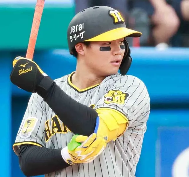 【野球】オールスターファン投票の結果発表！阪神から5人選出！