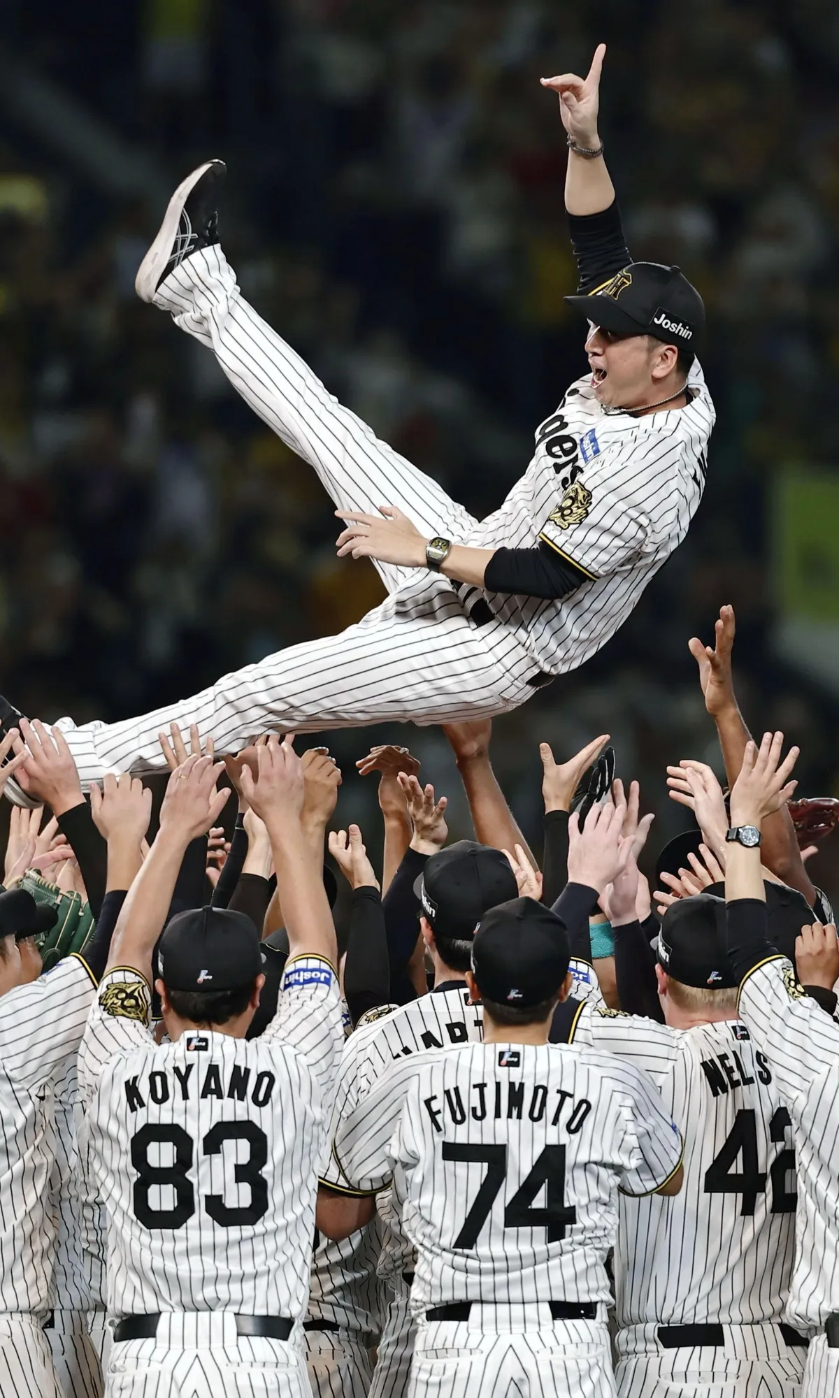 【野球】阪神タイガースが史上最速でセ・リーグ優勝！